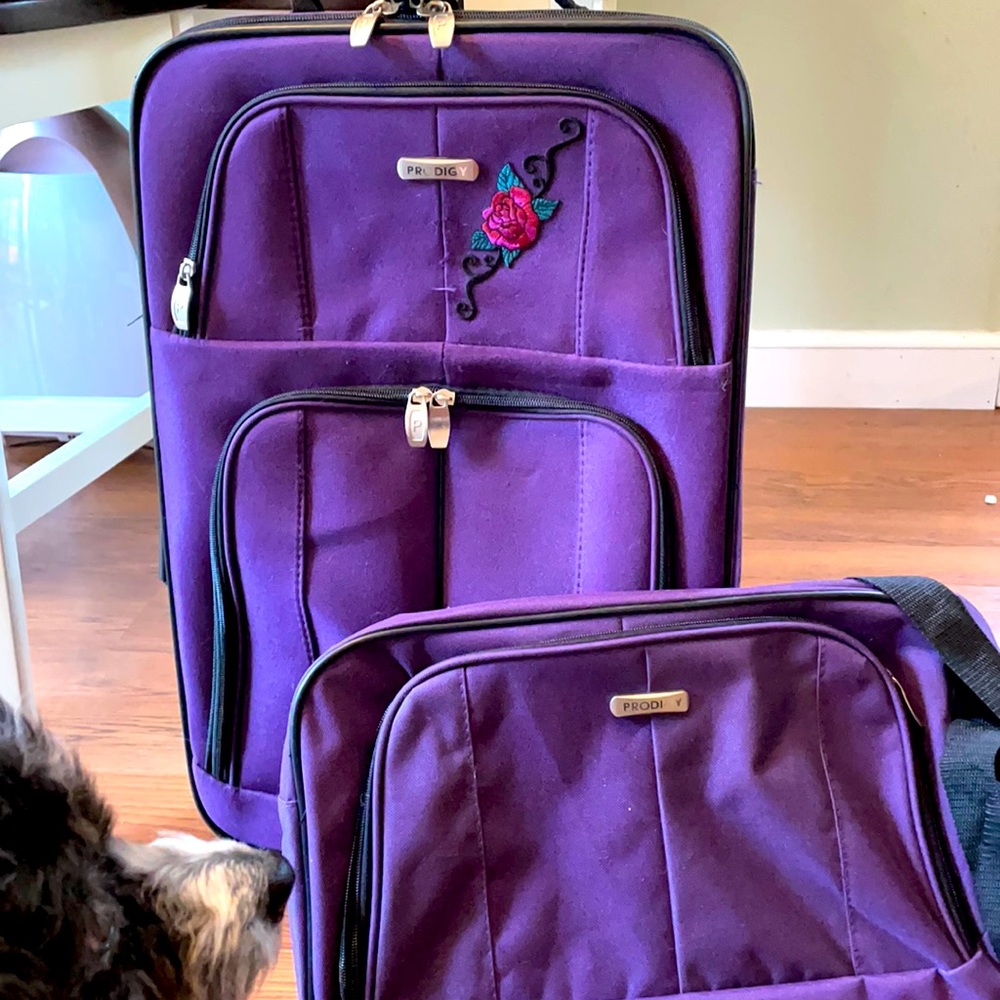 Luggage case with matching shoulder bag